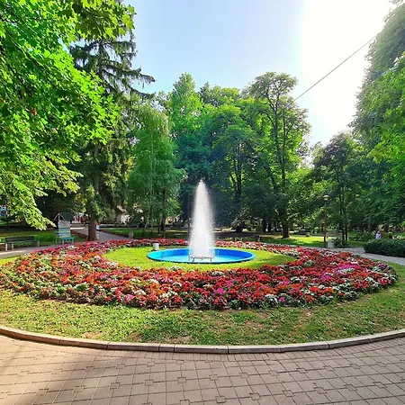 Maja Vujkovic 5 Apartament Soko Banja