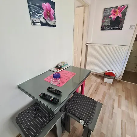 Apartament Maja Vujkovic 5 Soko Banja