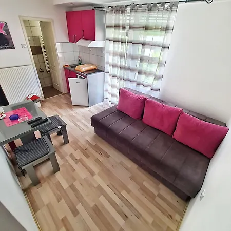 Apartment Maja Vujkovic 5 Soko Banja